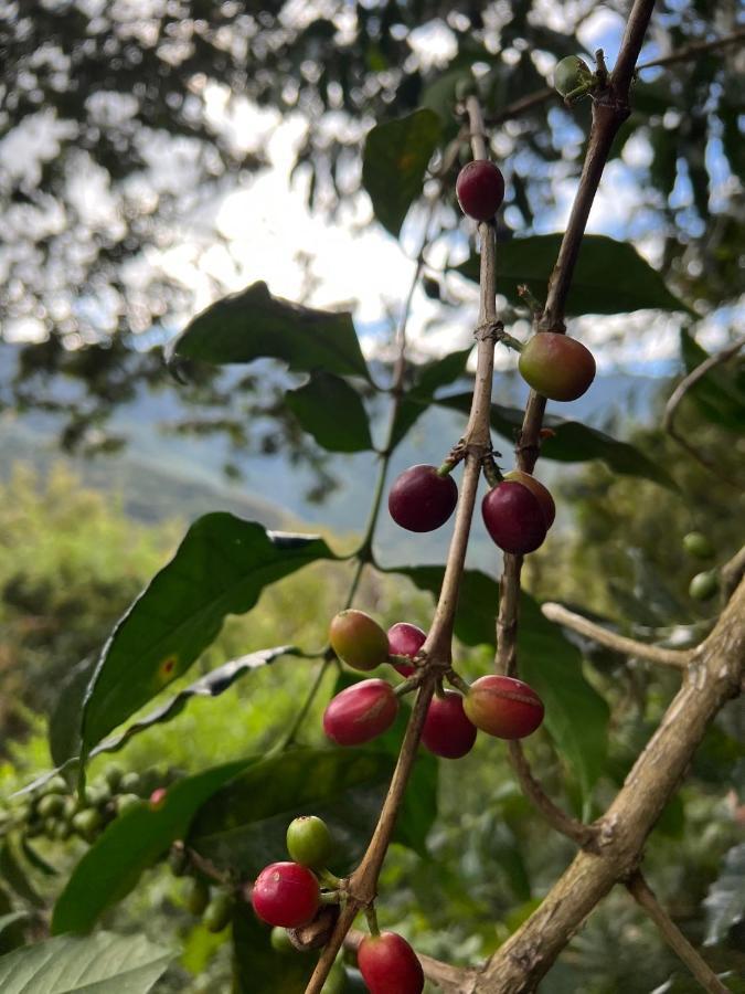 Refugio De Mery Lucmabamba Sahuayaco Εξωτερικό φωτογραφία
